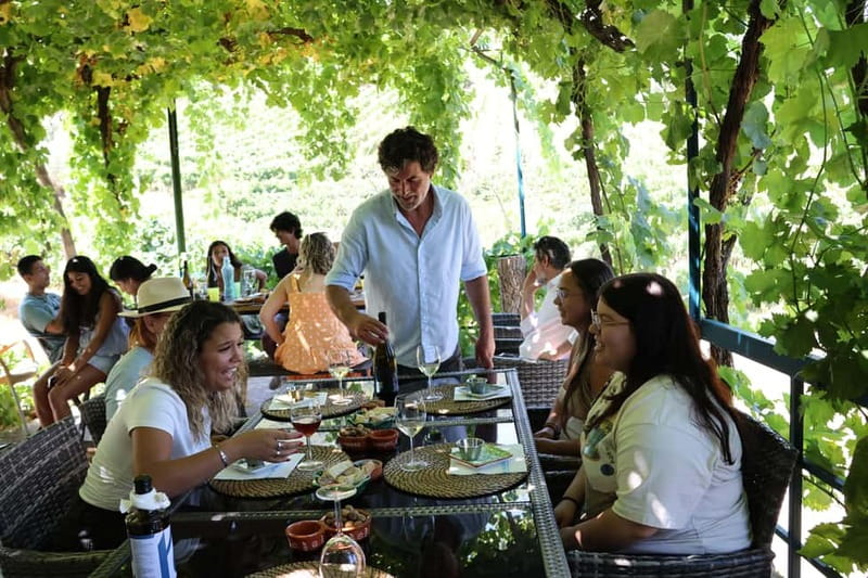 Porto: DOURO VALLEY Half-day Tour - What to bring (so the day feels easy, not annoying)