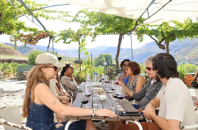 Porto: DOURO VALLEY Half-day Tour - Who this half-day Douro tour suits best