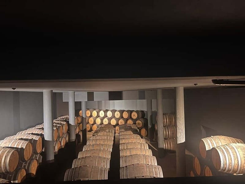 Porto: Douro Valley Half-Day Wine and Food Tour - Key things that make this tour work