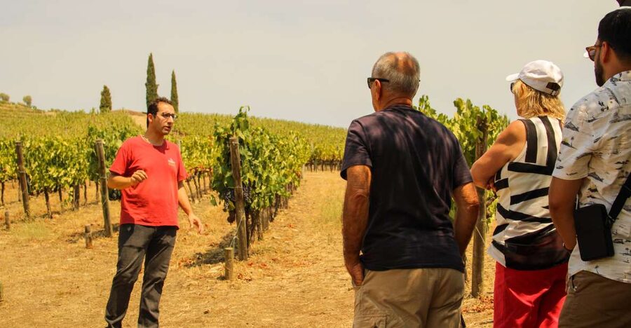 Porto: Douro Valley History & Wine Tour with Cruise & Lunch - Getting out of Porto: the morning drive, the meeting point, and the pace