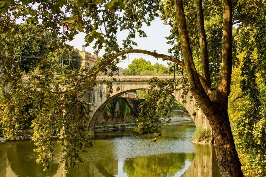 Porto: Douro Valley History & Wine Tour with Cruise & Lunch - Lunch in the Douro: a traditional 3-course meal plus pairing