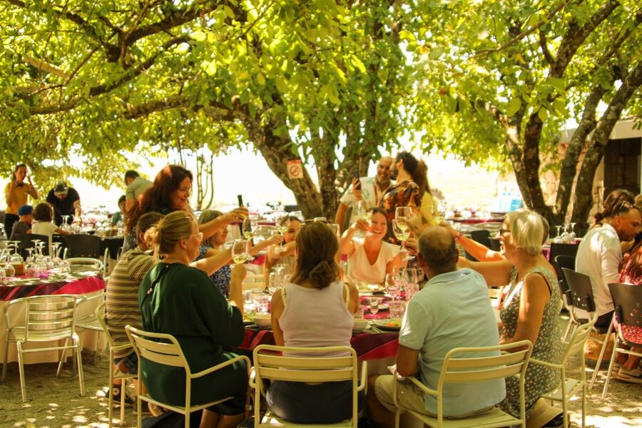 Porto: Douro Valley History & Wine Tour with Cruise & Lunch - Price and value: why $104 can make sense here