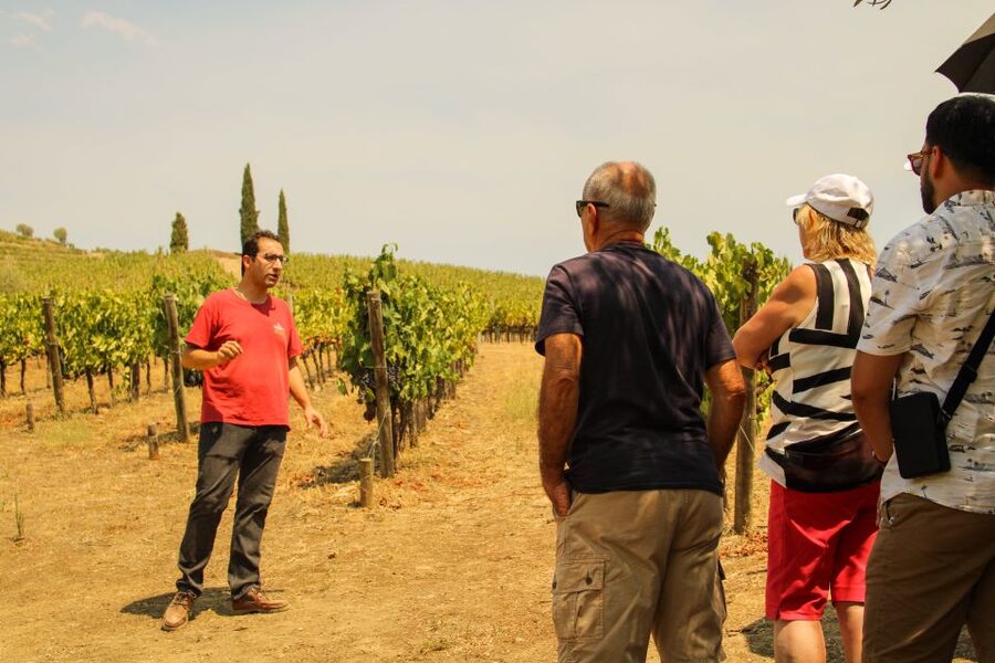 Porto: Douro Valley History & Wine Tour with Cruise & Lunch - Amarante on foot: sweets, art, and a quick city tour