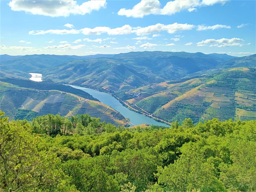 Porto: Douro Valley Private Grand Experience - Private - Transportation and Timing: Why the Schedule Works