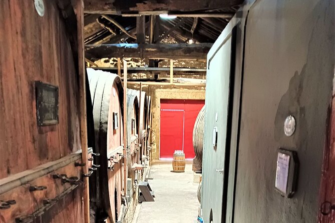 Porto: Douro Valley Private Grand Experience - Private - Port and Table Wines: How to Taste Without Feeling Lost