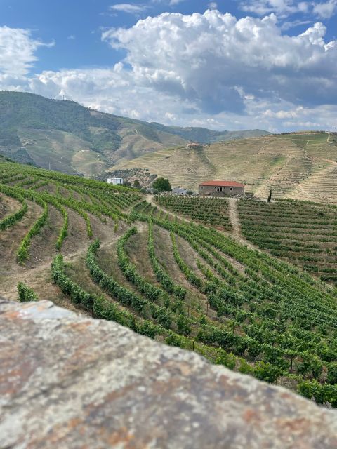 Porto: Douro Valley Private Tour 2 Vineyards & River Cruise - Douro Valley in a Nutshell: What Makes This Tour Work