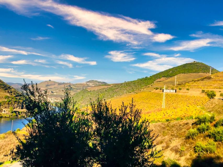 Porto: Douro Valley Private Tour 2 Vineyards & River Cruise - Lunch With a View: The Best Way to Slow Down