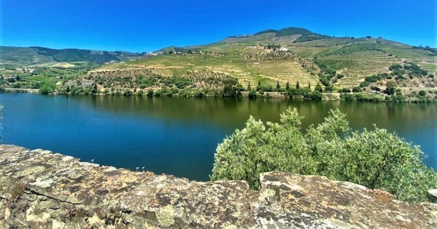 Porto: Douro Valley Private Tour 2 Vineyards & River Cruise - Sabrosa and the Second Vineyard Visit: More Time to Compare