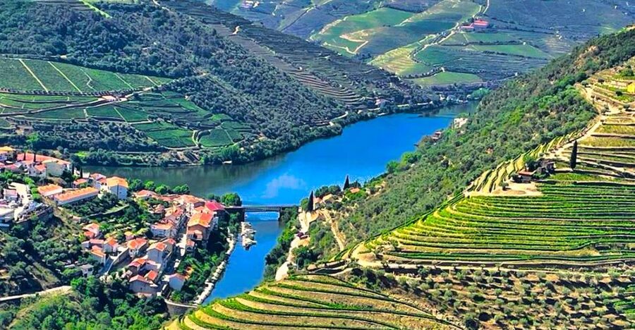Porto: Douro Valley Private Tour 2 Vineyards & River Cruise - Vineyard 1: Wine Table Service, Olive Oil, and Port Tasting