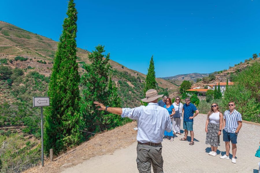 Porto: Douro Valley Private Tour, Tastings, Cruise & Lunch - Pinhão cruise: 45 minutes on the Douro after the big tastings