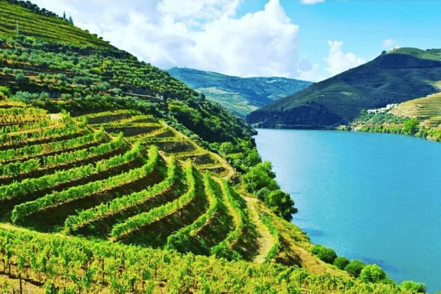 Porto: Douro Valley Tour w/ 3 Tastings, Lunch, & Opt. Cruise - Pinhão station tiles and the choice you actually get