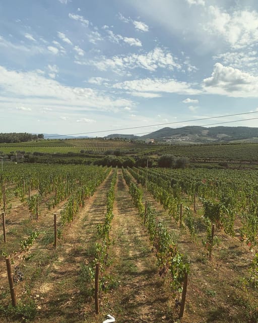 Porto: Douro Valley Tour w/ 3 Tastings, Lunch, & Opt. Cruise - Winery lunch at a family operation: where wine meets real food
