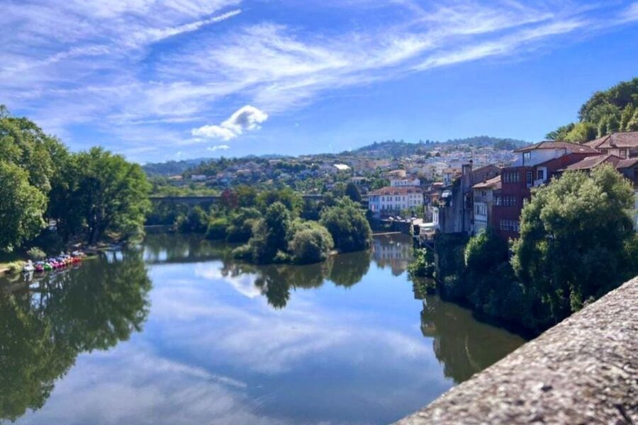 Porto: Douro Valley Tour w/ 3 Tastings, Lunch, & Opt. Cruise - Olive Oil Museum tasting: local staples with wine pairings