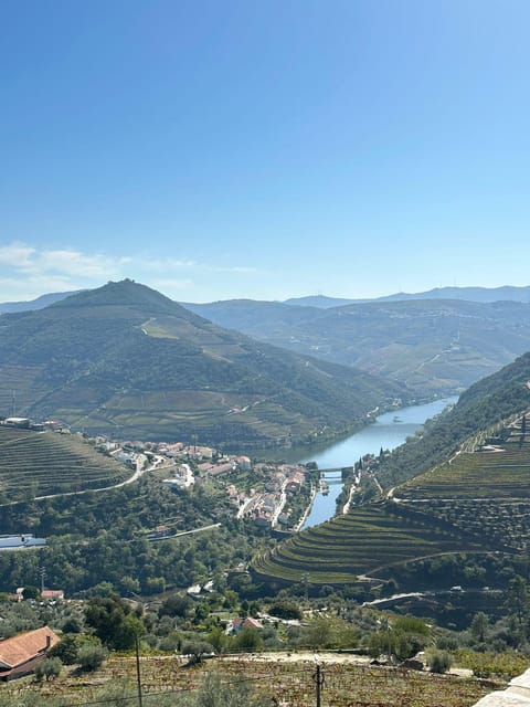 Porto: Douro Valley Tour w/ 3 Tastings, Lunch, & Opt. Cruise - Small-group format: max 8 means more listening time