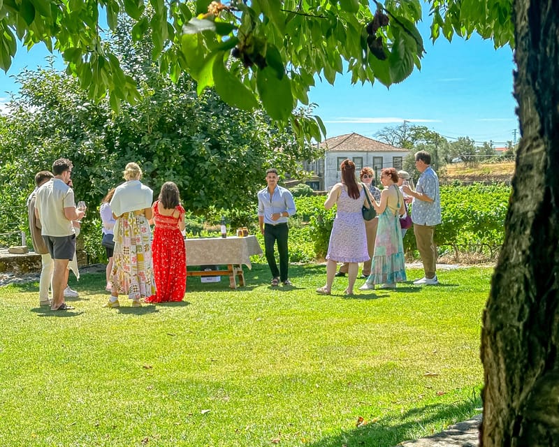 Porto: Douro Valley Tour with 2 Wineries, Lunch and Cruise - A Douro day that feels structured, not scripted