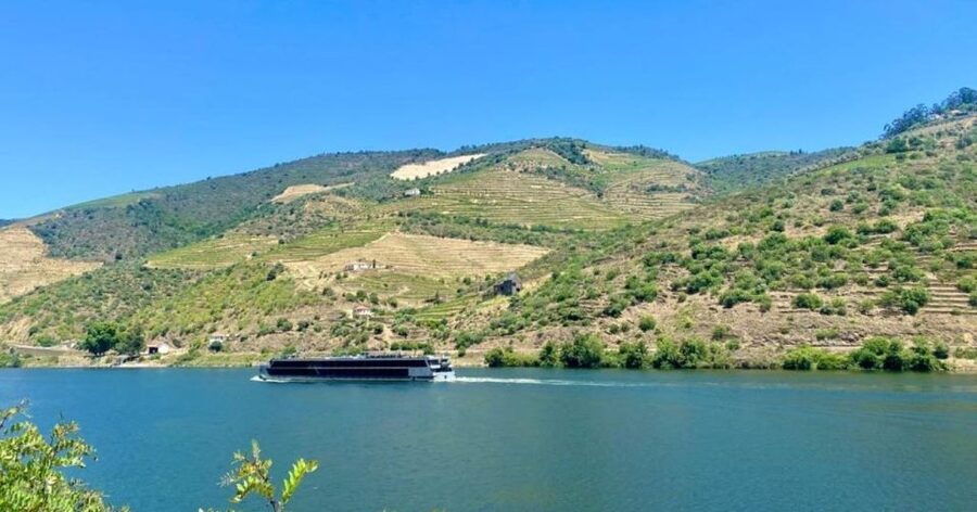 Porto: Douro Valley Tour with 2 Wineries, Lunch and Cruise - The N222 scenic drive: where to look for the Douro’s clues