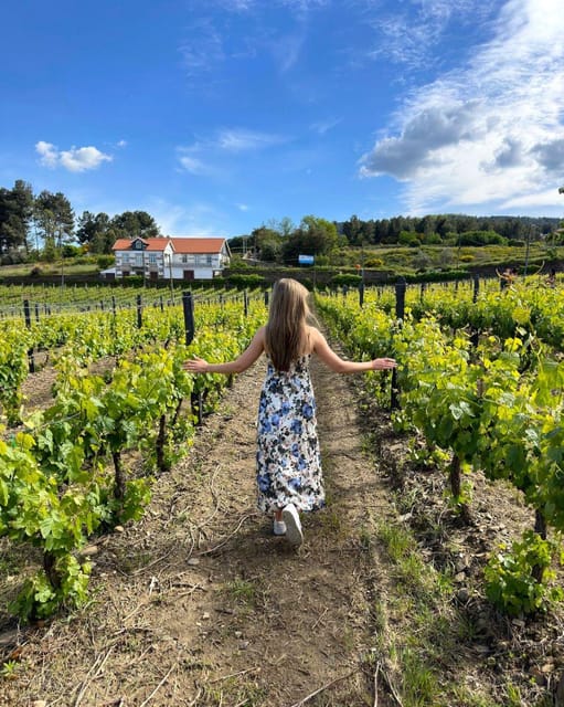 Porto: Douro Valley Tour with 2 Wineries, Lunch and Cruise - Cais do Pinhão and the 1-hour Douro cruise: the valley from the water