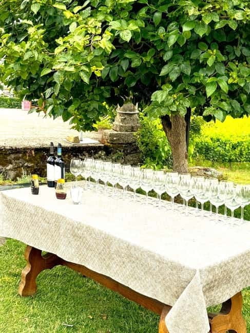 Porto: Douro Valley Tour with 3 Wineries and Lunch - Key highlights you’ll actually feel during the day