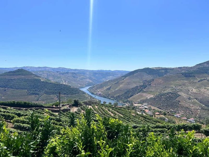 Porto: Douro Valley Tour with 3 Wineries and Lunch - Why the Douro Valley feels different when it’s this structured