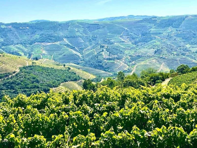 Porto: Douro Valley Tour with 3 Wineries and Lunch - Miradouro São Cristovão: your built-in photo break