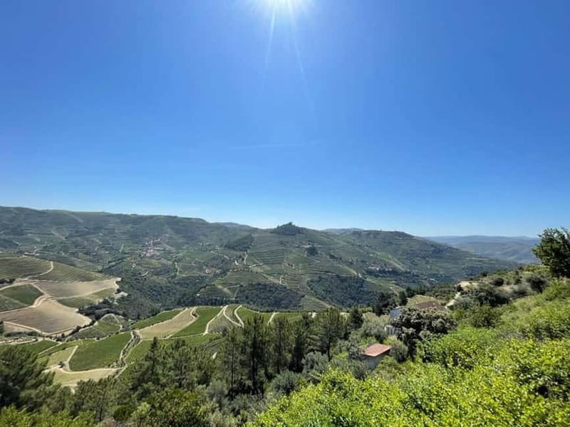 Porto: Douro Valley Tour with 3 Wineries and Lunch - The value question: what $123 buys you in real terms