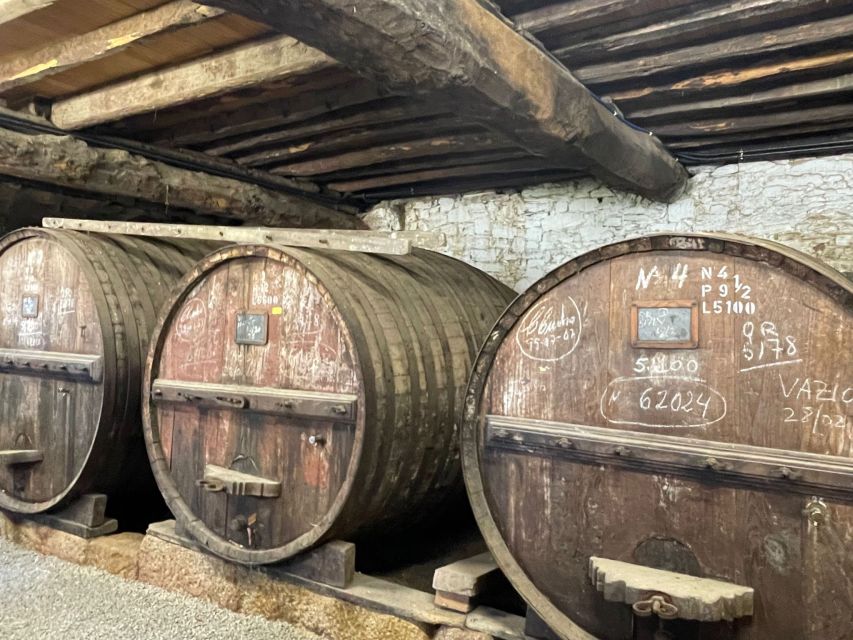 Porto: Douro Valley Tour with 3 Wineries and Lunch - Logistics that affect your comfort: pacing, rain, and shoes