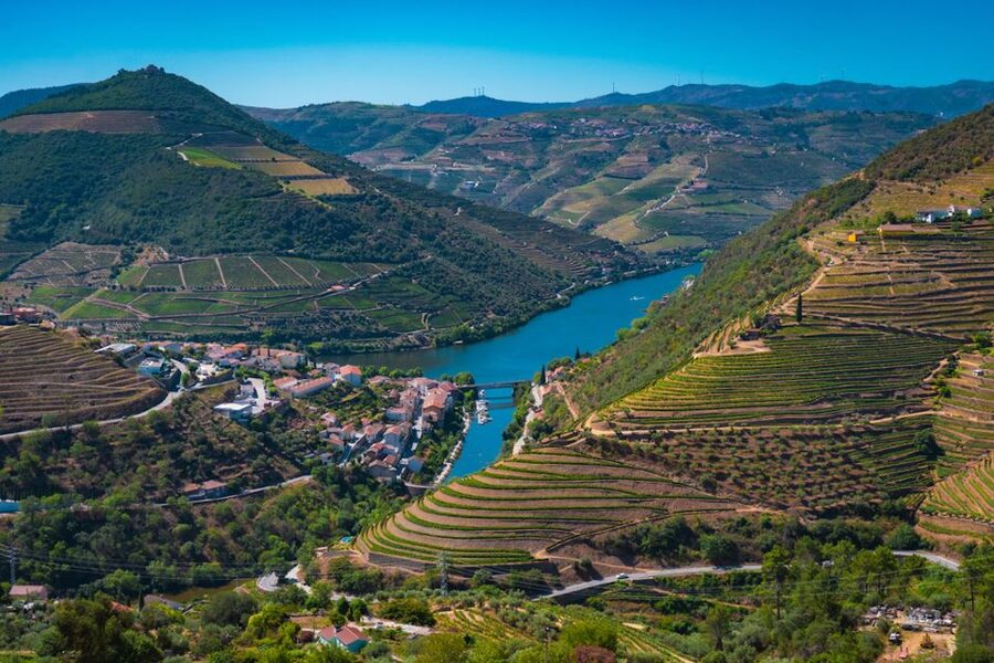 Porto: Douro Valley Tour with Lunch, Boat Cruise & Tastings - Régua Photo Breaks and the N222 Drive: The Douro Without the Stress