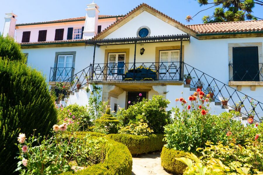 Porto: Douro Valley Tour with Lunch, Boat Cruise & Tastings - Finishing at Igreja da Lapa and the Free Porto Walking Tour Next Day
