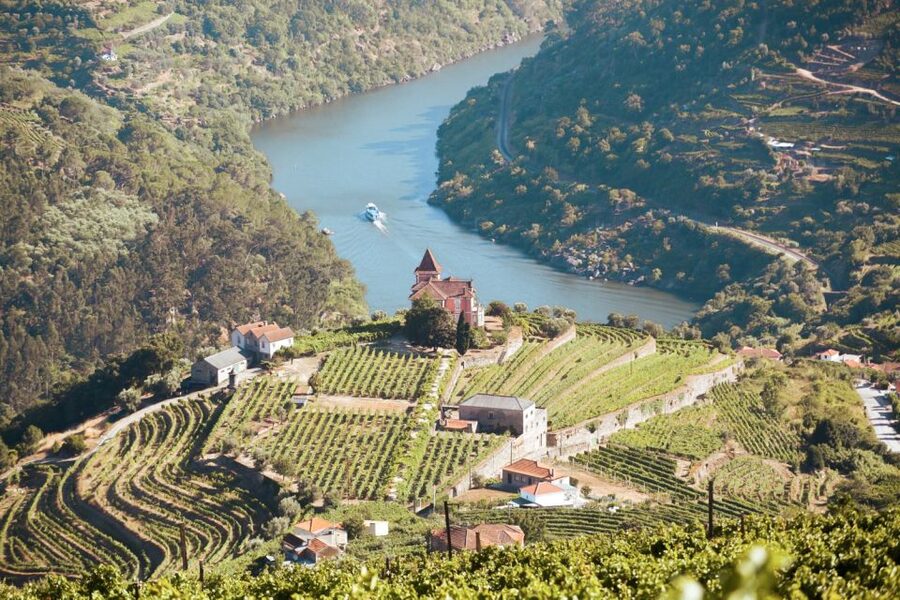 Porto: Douro Valley Tour with Wine Tasting, Cruise and Lunch - Key things I think you’ll care about