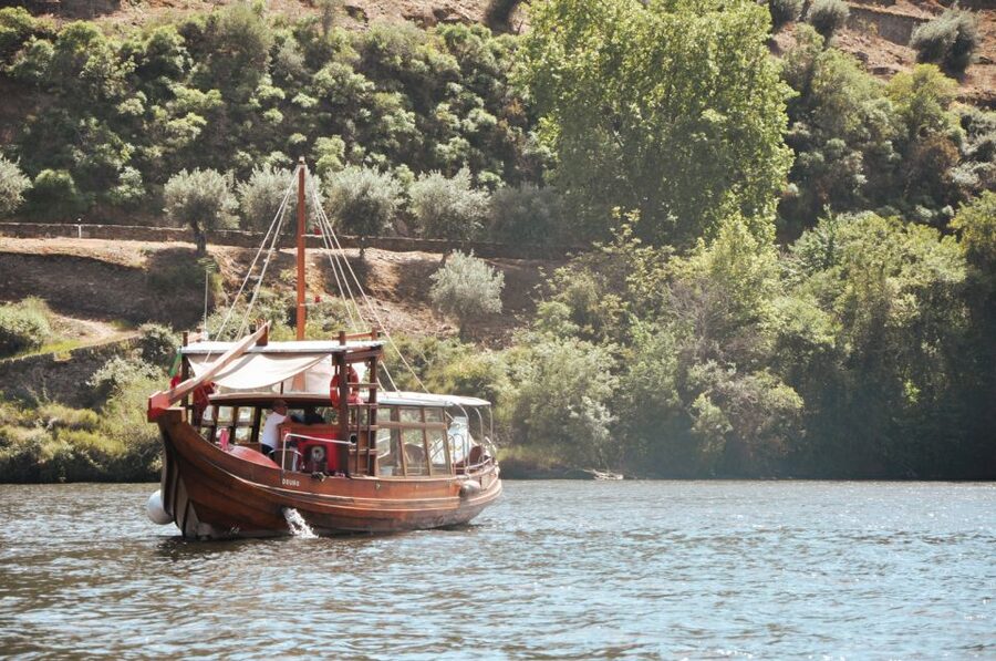 Porto: Douro Valley Tour with Wine Tasting, Cruise and Lunch - The ride back to Porto: narrow roads, motion, and finishing strong