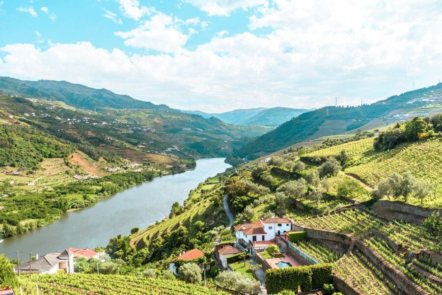 Porto: Douro Valley Tour with Wine Tasting, Cruise and Lunch - The drive to the Douro starts the experience (especially if you get a lively guide)