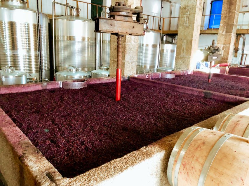 Porto: Douro Valley Tour with Wine Tasting, Cruise and Lunch - Lunch in the Douro Valley: where the day turns from tasting to eating