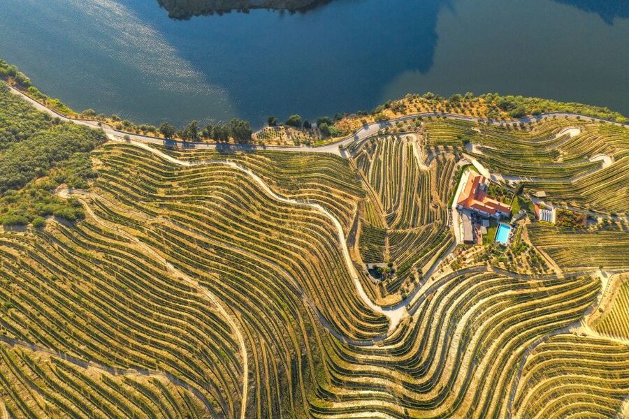 Porto: Douro Valley Tour with Wine Tasting, Cruise and Lunch - Sabrosa photo stop: quick breaks to keep the day from blurring together