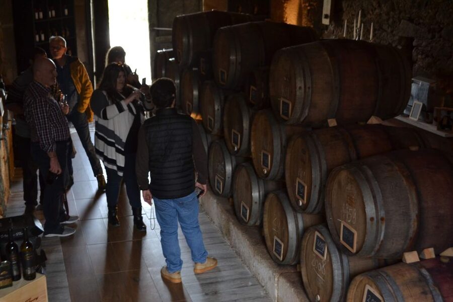 Porto: Douro Valley Vineyards Tour with Lunch & River Cruise - Getting from Porto to the UNESCO Douro Valley (without the stress)