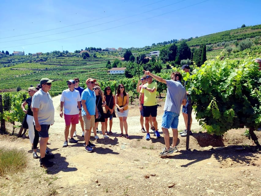 Porto: Douro Valley Vineyards Tour with Lunch & River Cruise - Pinhão Douro River cruise: where the views finally slow you down