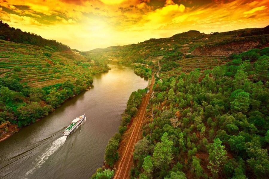 Porto: Douro Valley Wine Tour - Douro Valley is a UNESCO terraced-world, not just wine
