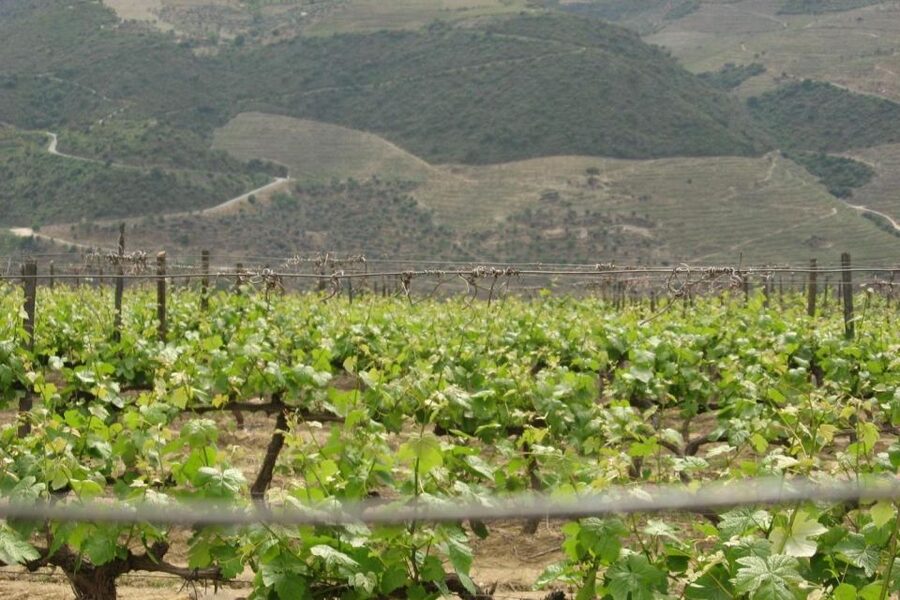 Porto: Douro Valley Wine Tour - Pinhão photos and the Rabelo boat cruise on the Douro