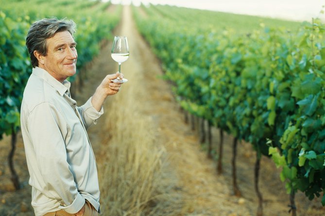 Porto: Douro Valley Wine Tour Including Lunch - Why This Douro Day Trip Works From Porto