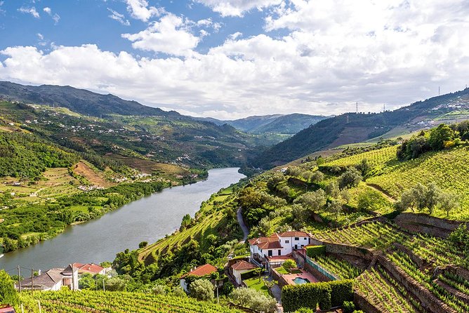 Porto: Douro Valley Wine Tour Including Lunch - The Viewpoint Break and the National Road 222 Photo Moment