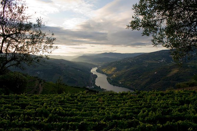 Porto: Douro Valley Wine Tour Including Lunch - Pinhão Rabelo Cruise: The Short Ride That Still Changes Your Perspective