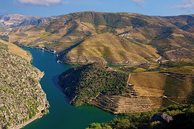 Porto: Douro Valley Wine Tour Including Lunch - The Final Winery in Folgosa: Port-Focused Tastings and Terroir Talk