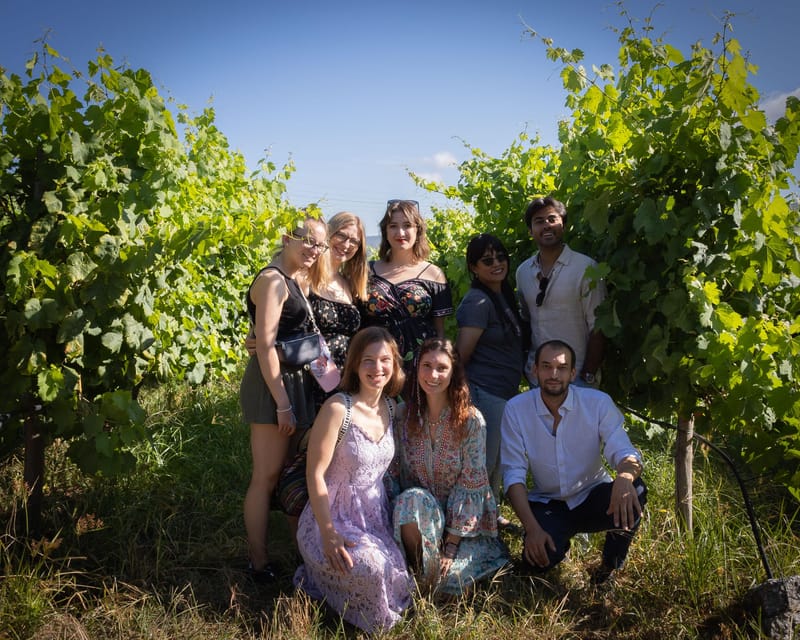 Porto: Douro Valley Wine Tour with a Sommelier & Boat Trip - The Douro River Boat Cruise: 1 Hour of Views You’ll Remember