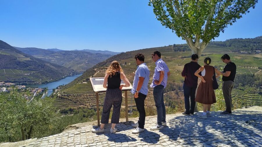 Porto: Douro Valley Wine Tour with Tastings, Boat, and Lunch - Key highlights