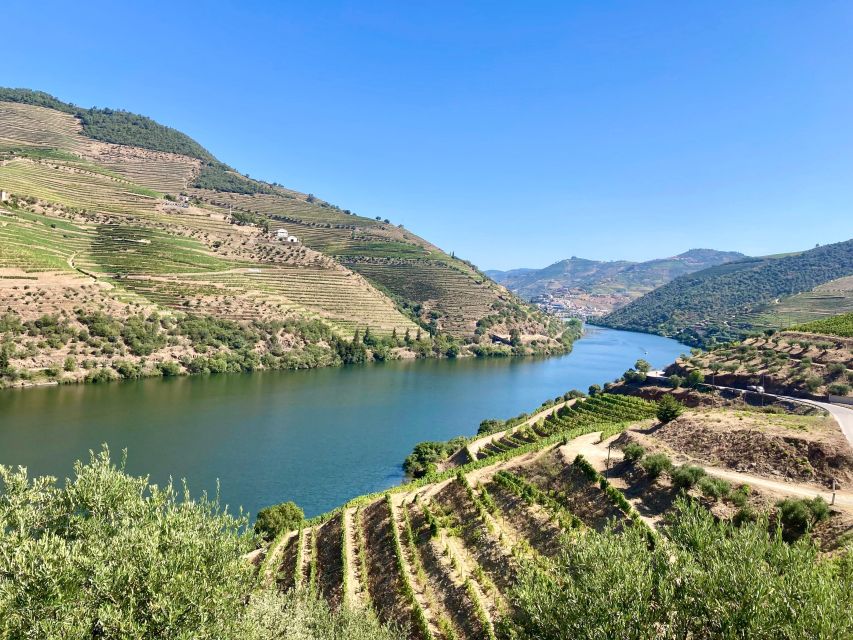 Porto: Douro Valley Wine Tour with Tastings, Boat, and Lunch - Boat cruise on the Douro: the river does the talking
