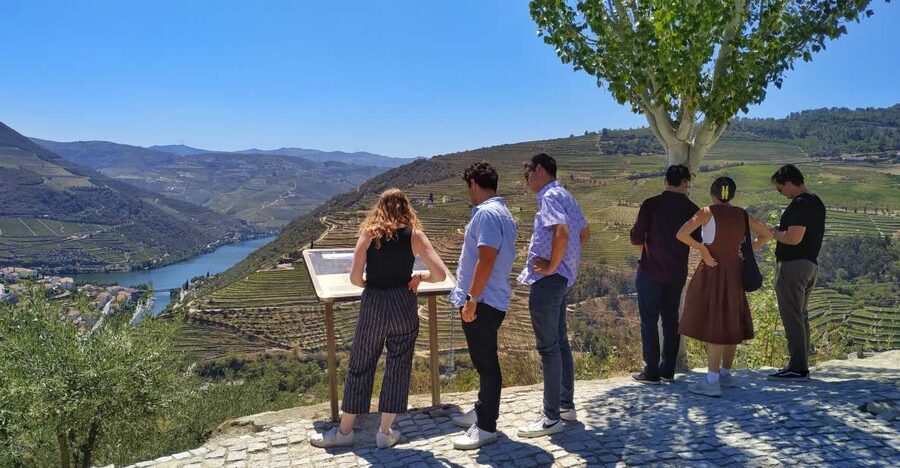 Porto: Douro Valley Wine Tour with Tastings, Boat, and Lunch - The N222 scenic drive and Peso da Régua breaks