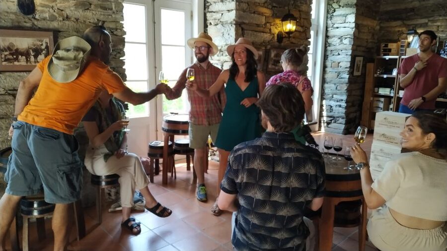 Porto: Douro Valley Wine Tour with Tastings, Boat, and Lunch - Country house lunch: open-fire Portuguese food plus unlimited DOC