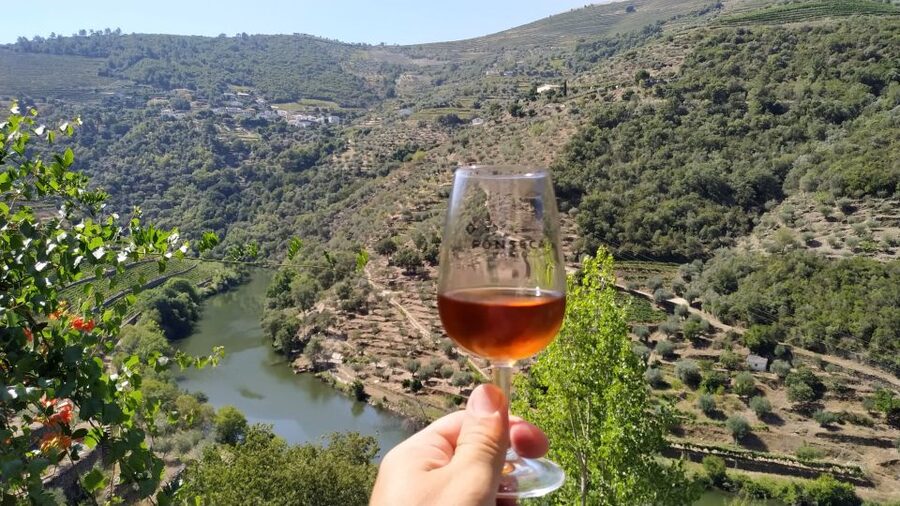 Porto: Douro Valley Wine Tour with Tastings, Boat, and Lunch - Who should book (and who should skip this)