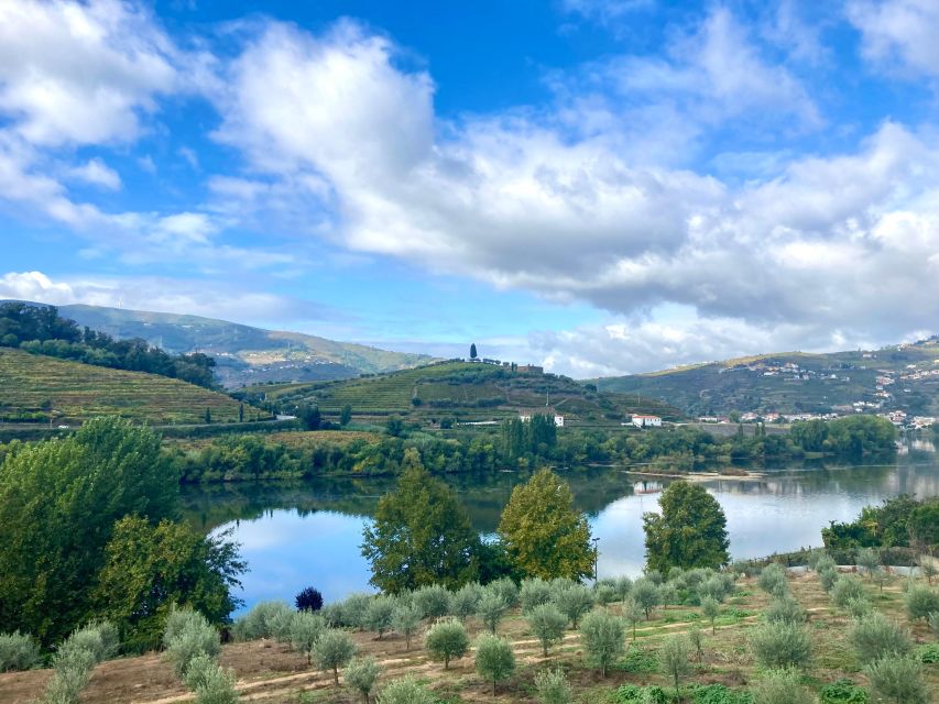 Porto: Douro Valley Wine Tour with Tastings, Boat, and Lunch - Port wine producer morning: where the day gets serious