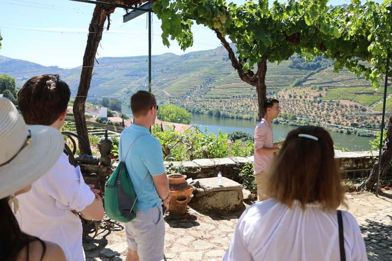 Porto: Douro Valley Wine Tour with Tastings, Lunch & Cruise - Winery tastings in intimate, family-run quintas