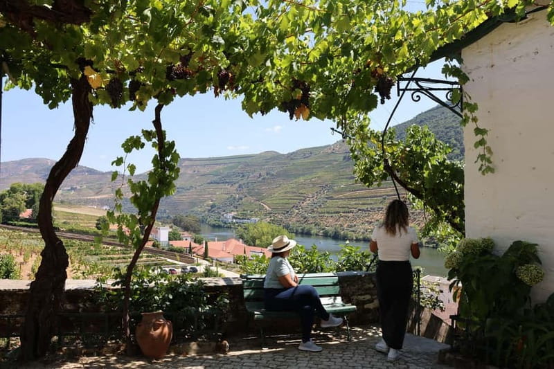Porto: Douro Valley Wine Tour with Tastings, Lunch & Cruise - What the vineyard and cellar visit adds (and what it doesn’t)
